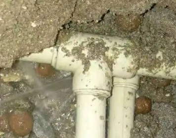 江川测漏水多少钱