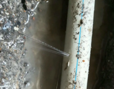 江川测漏水哪家好