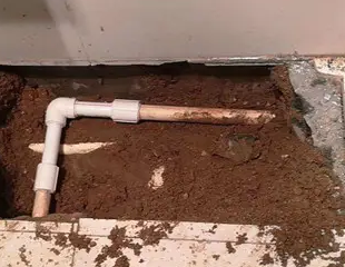 江川测漏水哪家好