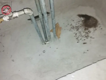 江川卫生间测漏水价格明细