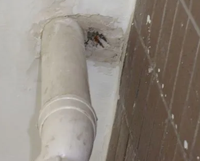 江川漏水检测哪家好